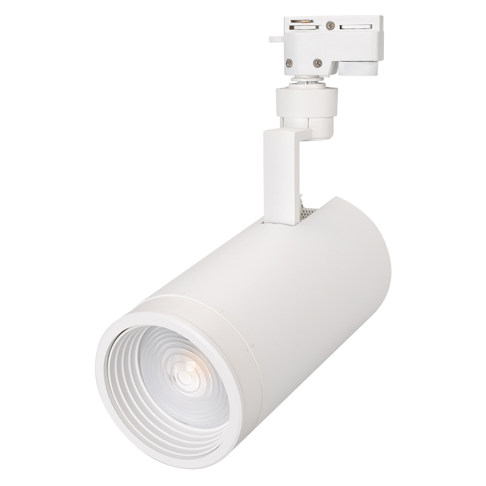 Светильник Arlight LGD-ZEUS-2TR-R100-30W White6000 (WH, 20-60 deg)