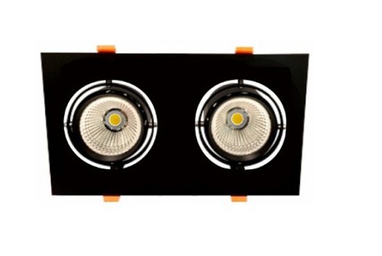 Диодный светильник карданный DLS 2x30W 1206 0.7A Halla Lighting