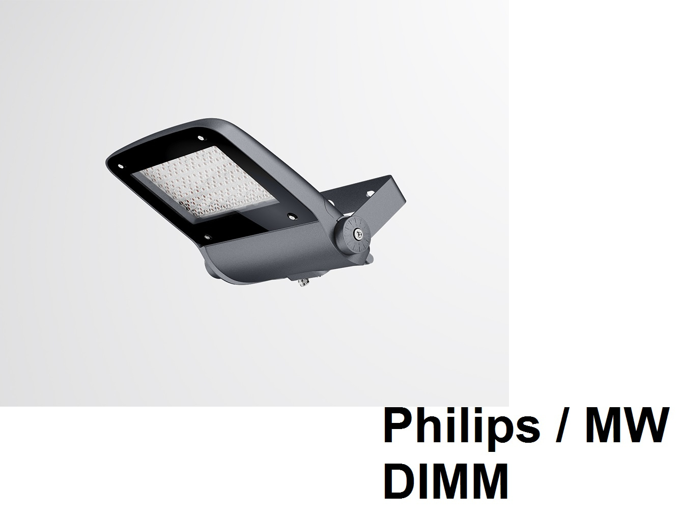 Прожектор LED влагозащищенный уличный с диммируемым источником тока Philips / MW DIMM FALDI VIKING-M120P